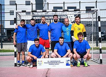 Sineki Rupa Sineki Rupa