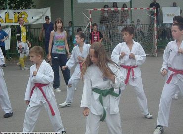 taekwondo-demonstracija taekwondo-demonstracija